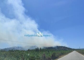 Η επέμβαση της Π.Υ. σταμάτησε τη φωτιά στην περίφραξη του αρχαίου θέατρου Οινιαδών – Ισχυρή άνεμοι πνέουν στην περιοχή. Βίντεο