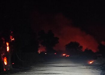 Υπό έλεγχο οι πυρκαγιές σε Ευηνοχώρι-Αιτωλικό-Τρελάγκαθα – Ευχαριστίες Δήμου Ιερής Πόλης Μεσολογγίου προς όλους τους συντελεστές της προσπάθειας