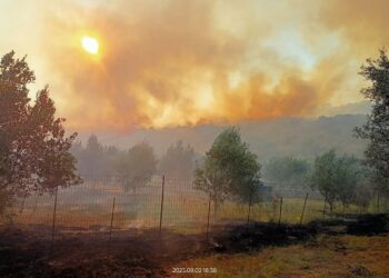 Ευηνοχώρι Μεσολογγίου: Υπό έλεγχο η επικίνδυνη φωτιά. Στη μάχη με τις φλόγες και ο ΕΟΕΔ