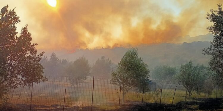 Ευηνοχώρι Μεσολογγίου: Υπό έλεγχο η επικίνδυνη φωτιά. Στη μάχη με τις φλόγες και ο ΕΟΕΔ