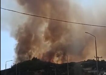 Ευηνοχώρι Μεσολογγίου: ξέσπασε φωτιά σε δασική περιοχή. Πυροσβέστες και εναέρια μέσα δίνουν μάχη με τις φλόγες