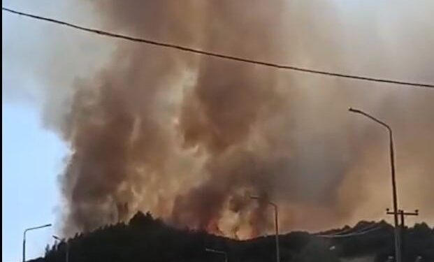 Ευηνοχώρι Μεσολογγίου: ξέσπασε φωτιά σε δασική περιοχή. Πυροσβέστες και εναέρια μέσα δίνουν μάχη με τις φλόγες