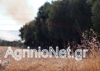 Σε ύφεση η φωτιά στη Νεάπολη, στα Ρουσέϊκα Αγρινίου VIDEO FOTO