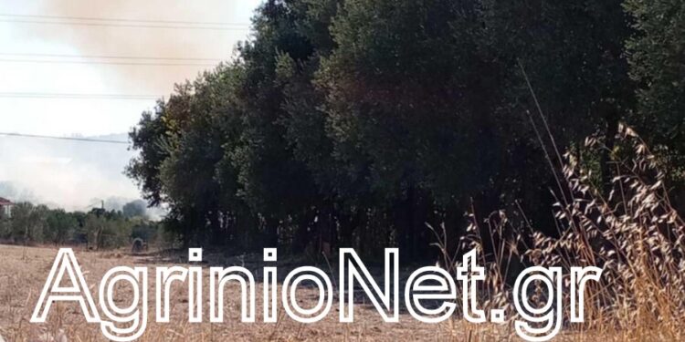 Σε ύφεση η φωτιά στη Νεάπολη, στα Ρουσέϊκα Αγρινίου VIDEO FOTO