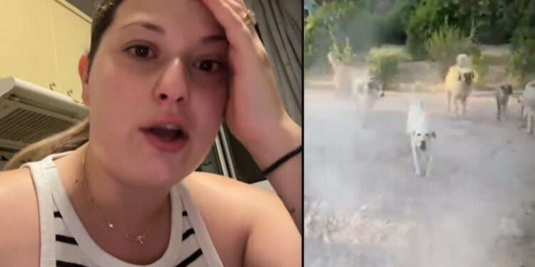 Πάρκο Αγρινίου: επίθεση αδέσποτων σκυλιών δέχτηκε μητέρα με ανήλικο στο καροτσάκι. Τι δηλώσει στο AgrinioNet.gr. VIDEO με επιθέσεις αδέσποτων σκυλιών στο Δημοτικό Πάρκο Αγρινίου