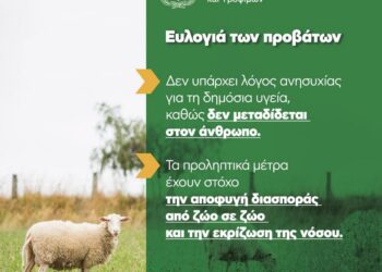 Ενημερωτικό για την ευλογιά των προβάτων – Τα μέτρα για τον περιορισμό και εκρίζωση της νόσου – Τι πρέπει να κάνουν οι κτηνοτρόφοι