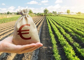 Σκάνδαλο ΟΠΕΚΕΠΕ: 46χρονος από το Αγρίνιο έλαβε πάνω από 250 χιλ ευρώ. Ποιες περιοχές έχουν εκατομμυριούχους με λεφτά του ΟΠΕΚΕΠΕ