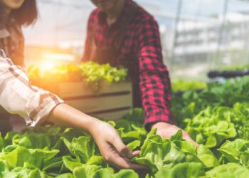 Εκπαίδευση Εκπαιδευτών: Το Ίδρυμα Ευγενίδου ενισχύει τη γεωργική κατάρτιση σε συνεργασία με τον ΕΛΓΟ ΔΗΜΗΤΡΑ