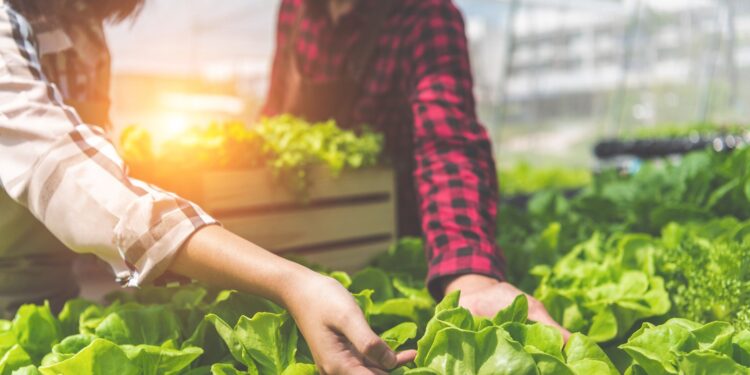 Εκπαίδευση Εκπαιδευτών: Το Ίδρυμα Ευγενίδου ενισχύει τη γεωργική κατάρτιση σε συνεργασία με τον ΕΛΓΟ ΔΗΜΗΤΡΑ