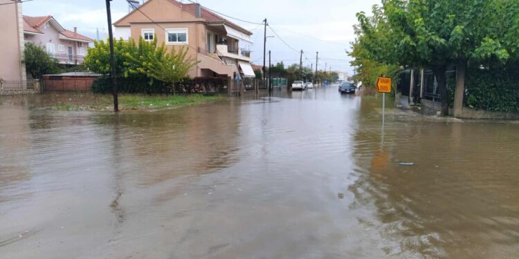 Μεσολόγγι: ΡΟΜΑ ξυλοφόρτωσαν χειριστή jcb όταν πήγε να ανοίξει αυλάκι για να φύγουν τα νερά της πλημμύρας
