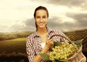 Μήνυμα Υπουργού Αγροτικής Ανάπτυξης και Τροφίμων, Κώστα Τσιάρα για τη διεθνή Ημέρα Αγρότισσας