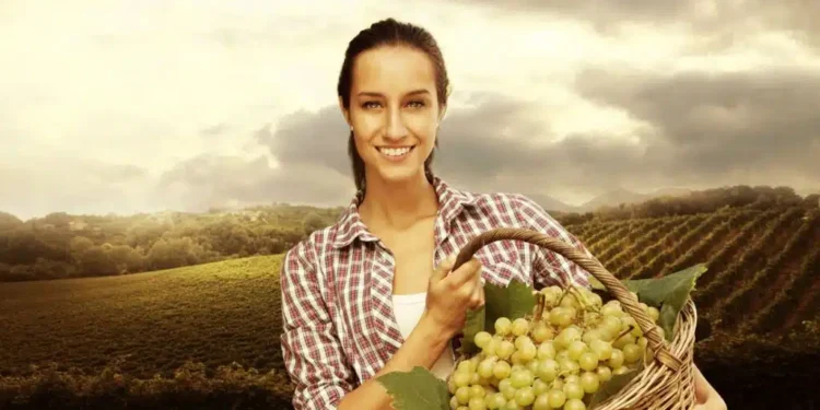 Μήνυμα Υπουργού Αγροτικής Ανάπτυξης και Τροφίμων, Κώστα Τσιάρα για τη διεθνή Ημέρα Αγρότισσας