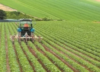 ΟΠΕΚΕΠΕ: Καταβολή 54,3 εκατ. ευρώ σε 42.522 δικαιούχους για ζωοτροφές και ζημιές από Daniel