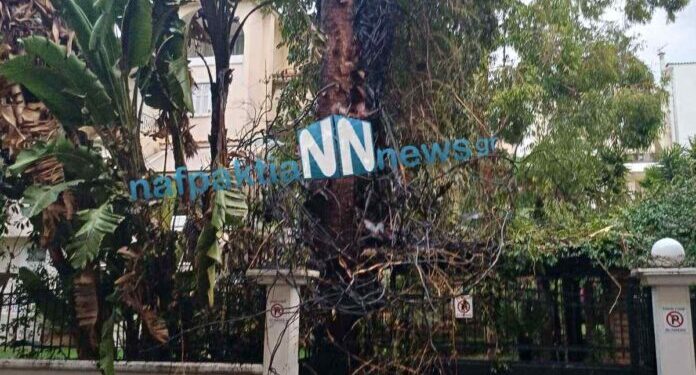 Κεραυνός έπεσε σε δέντρο στο Γρίμποβο Ναυπάκτου με αποτέλεσμα να πάρει φωτιά (εικόνες)