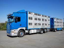 Εντοπισμός παράνομης μεταφοράς ζώντων ζωών