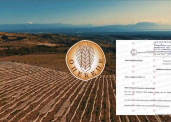 ΟΠΕΚΕΠΕ: Η «θαμμένη» έκθεση για τα πρόβατα στην Κρήτη που αναπαράγονταν με ρυθμούς «εντόμων»