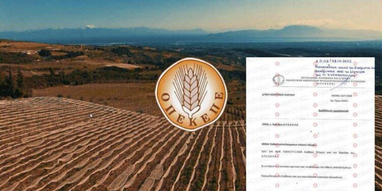 ΟΠΕΚΕΠΕ: Η «θαμμένη» έκθεση για τα πρόβατα στην Κρήτη που αναπαράγονταν με ρυθμούς «εντόμων»