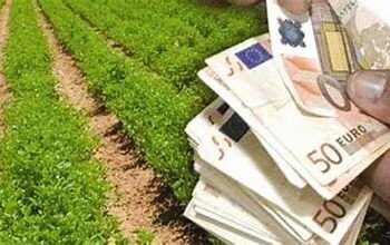 Κώστας Τσιάρας: Σε υπηρεσιακή ετοιμότητα ο ΟΠΕΚΕΠΕ για να ξεκινήσουν οι πληρωμές, μόλις ολοκληρωθεί η έρευνα της OLAF