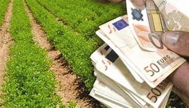 Κώστας Τσιάρας: Σε υπηρεσιακή ετοιμότητα ο ΟΠΕΚΕΠΕ για να ξεκινήσουν οι πληρωμές, μόλις ολοκληρωθεί η έρευνα της OLAF