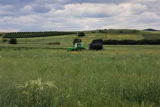 Άρχισαν οι πληρωμές στους αγρότες από τον ΟΠΕΚΕΠΕ – Σήμερα καταβάλλονται 3 κατηγορίες ενισχύσεων – Συνολικά 8 πληρωμές έως το τέλος Οκτωβρίου