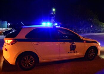 Ναύπακτος: Φορτηγό μετέφερε 200 ζώα και συνελήφθη ο οδηγός κατά παράβαση των περιοριστικών μέτρων για την Ευλογιά