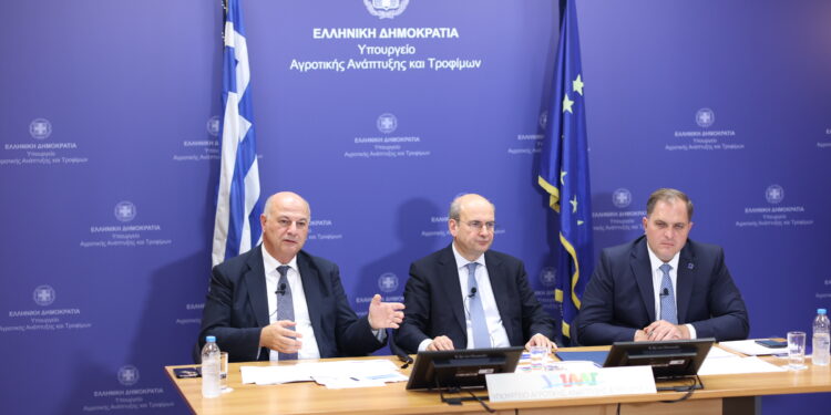 Αύριο η προκαταβολή βασικής ενίσχυσης – 3,7 δισ. ευρώ στους αγρότες το 2025