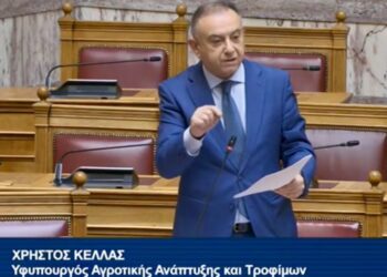 Χρ. Κέλλας στη Βουλή: Ο Ευρωπαίος Επίτροπος είναι σαφής ότι υπάρχουν ρητοί περιορισμοί στην αγορά γαλακτοκομικών μετά από εμβολιασμό
