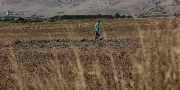 Νέο πλαίσιο για την κατανομή βοσκοτόπων – Οριστικό τέλος στην «τεχνική λύση» και πλήρης ευθυγράμμιση με την ΚΑΠ