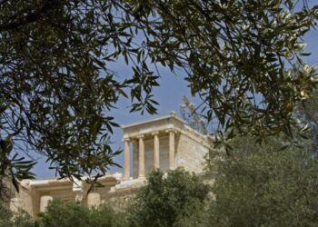 Παγκόσμια Ημέρα Ελαιοκομίας 2025: Εσπερίδα της 4Ε για την απειλή των ΜΟΑH