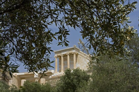 Παγκόσμια Ημέρα Ελαιοκομίας 2025: Εσπερίδα της 4Ε για την απειλή των ΜΟΑH