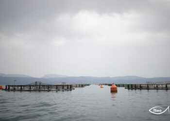 ΠΟΑΥ Αμβρακικού Κόλπου: Κοινές θέσεις 41 φορέων για τις περιβαλλοντικές επιπτώσεις