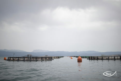ΠΟΑΥ Αμβρακικού Κόλπου: Κοινές θέσεις 41 φορέων για τις περιβαλλοντικές επιπτώσεις