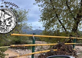 Ανακοίνωση Δήμου: Αιτήσεις αυτοψίας και οικονομική ενίσχυση για πληγέντες σε Φυτείες και Βλυζιανά.