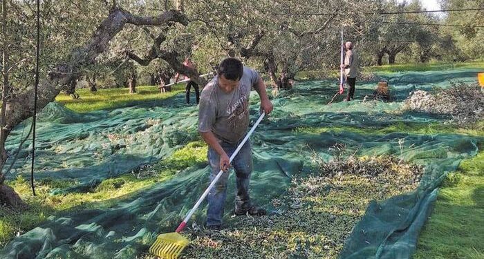 Μεσολόγγι: Συνελήφθησαν ένας αλλοδαπός και ένας Έλληνας για εμπορία ανθρώπων και διευκόλυνσης παραμονής αλλοδαπών. Αναζητείται ένας ακόμη αλλοδαπός. Τι αναφέρει ο Χ. Τέγας