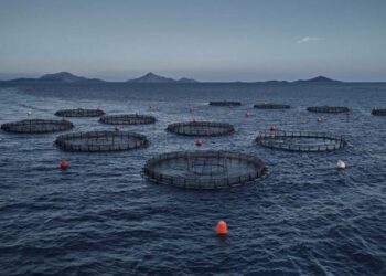 Ενημέρωση για την απόφαση του ΣτΕ σχετικά με το Π.Δ. ΠΟΑΥ Εχινάδων Νήσων & Αιτωλοακαρνανίας