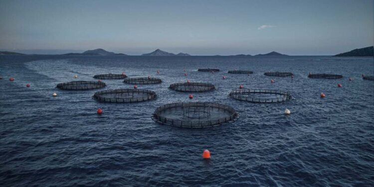 Ενημέρωση για την απόφαση του ΣτΕ σχετικά με το Π.Δ. ΠΟΑΥ Εχινάδων Νήσων & Αιτωλοακαρνανίας