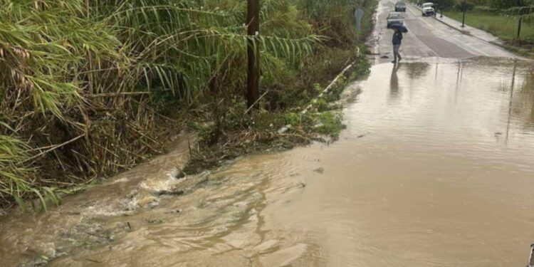 Π. Καψάλης: η κατανομή των χρημάτων γίνεται όπου «χρειαστεί» μεταξύ γνωστών και φίλων, το αποτέλεσμα είναι προδιαγεγραμμένο
