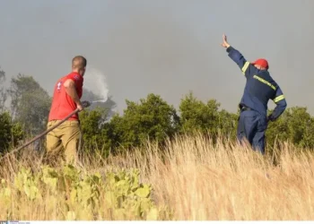 Κεφαλογιάννης: Απαλλαγή από τα τέλη κυκλοφορίας για οχήματα εθελοντών πυροσβεστών