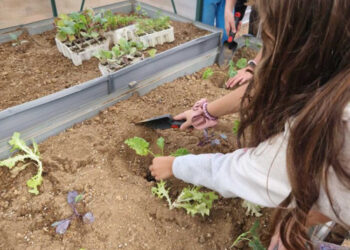 Thalla: Ένα παιδικό Εργαστήρι Αγρο-οικολογίας στο 1ο Δημοτικό Σχολείο Διονύσου