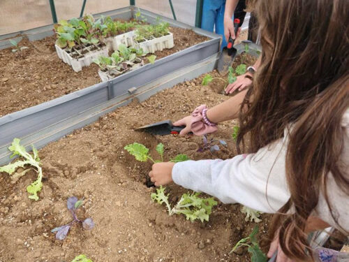 Thalla: Ένα παιδικό Εργαστήρι Αγρο-οικολογίας στο 1ο Δημοτικό Σχολείο Διονύσου