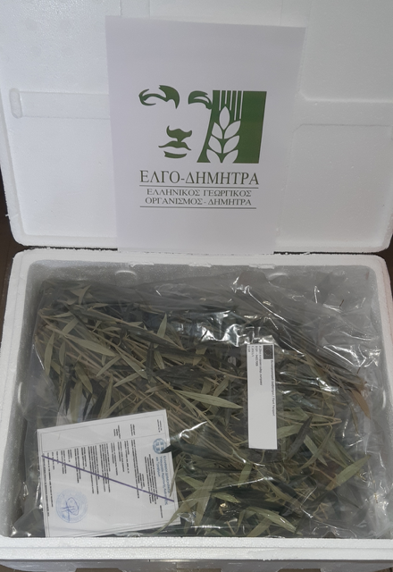 Nέο κεφάλαιο στην παραγωγή πολλαπλασιαστικού υλικού οπωροφόρων δένδρων στην Ελλάδα από τον ΕΛΓΟ-ΔΗΜΗΤΡΑ 