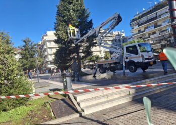 Αγρίνιο: τοποθετήθηκε το Χριστουγεννιάτικο Δέντρο στην Πλατεία Δημοκρατίας.
