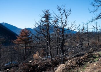Ανακοίνωση έγκρισης του Εθνικού Χάρτη Εκτίμησης Κινδύνου Δασικών Πυρκαγιών