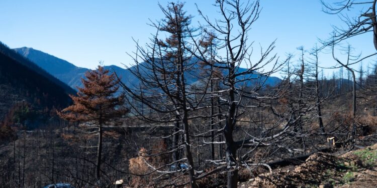 Ανακοίνωση έγκρισης του Εθνικού Χάρτη Εκτίμησης Κινδύνου Δασικών Πυρκαγιών