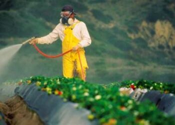 Έλεγχοι υπολειμμάτων φυτοπροστατευτικών Οκτωβρίου 2025 – Πάνω από 97% συμμόρφωση