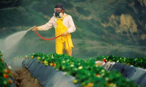 Έλεγχοι υπολειμμάτων φυτοπροστατευτικών Οκτωβρίου 2025 – Πάνω από 97% συμμόρφωση