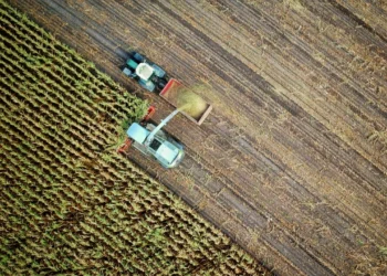 Νέα ΚΑΠ μετά το 2027: Στήριξη αγροτών, καινοτομία και απλούστευση στο επίκεντρο της ελληνικής παρέμβασης