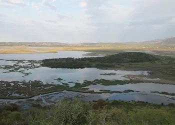 Ημερίδα «Αμβρακικός Κόλπος – Προκλήσεις και Βιωσιμότητα» στο Δημαρχείο Αμφιλοχίας