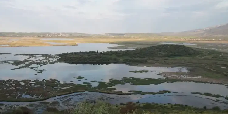 Ημερίδα «Αμβρακικός Κόλπος – Προκλήσεις και Βιωσιμότητα» στο Δημαρχείο Αμφιλοχίας