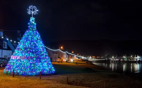 Αστακός: Φωταγώγηση του χριστουγεννιάτικου δέντρου στις 14 Δεκεμβρίου